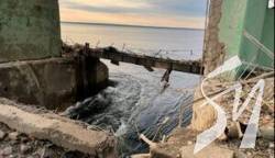 ���� �� ������������� �������� ������� ���� - ������ - ������